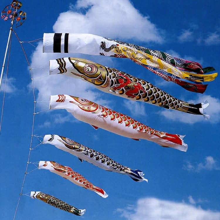 鯉のぼり旭天竜ゴールド鯉の魅力と伝統を守る飾り方ガイド | コラム