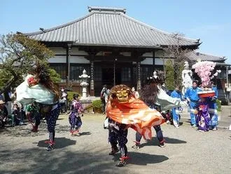 川越市歳時記　石原のささら獅子舞と春の祭礼の魅力