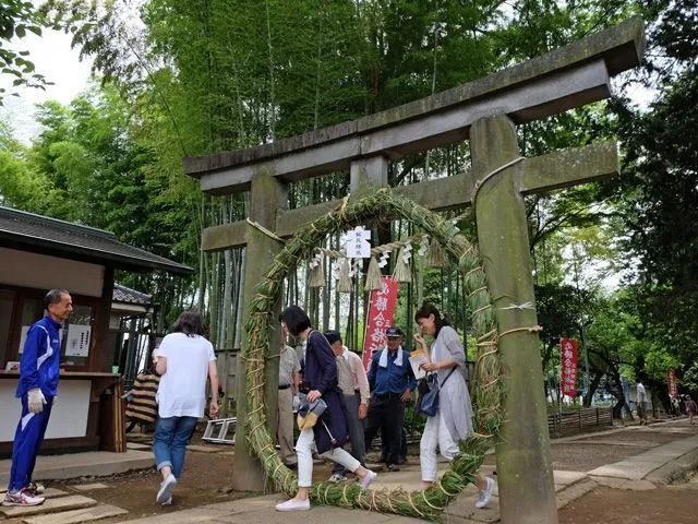 川越市歳時記 茅の輪くぐりと三芳野神社の夏越行事